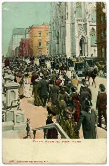 Enliven: NEW YORK - FIFTH AVENUE