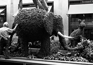 Yatsina: New York in pictures, 1988