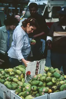 Mango: New York Street Scene