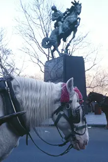 Blinkers: New York Street Scene