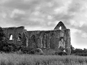 Pyrford: NEWARK PRIORY, SURREY