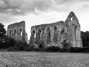 Priories: NEWARK PRIORY, SURREY
