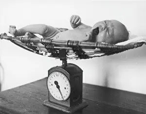 Anthony Christie Collection: NEWBORN BABY WEIGHED