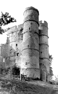 Donnington: Newbury, Donnington Castle c1955