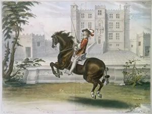 Dressage: NEWCASTLE BALOTTADES