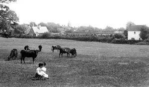 Newdigate: Newdigate, 1906