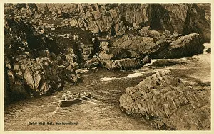 Vidi: Newfoundland, Canada - Quidi Vidi - The Gut