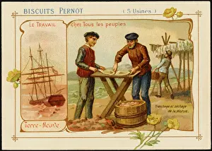Pernot: NEWFOUNDLAND COD