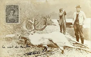 Smug: Newfoundland, Dead Caribou and Hunter