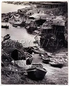 Newfoundlands: NEWFOUNDLAND FISHERPORT