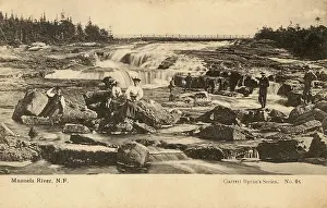 Daytrippers: Newfoundland - Manuels River