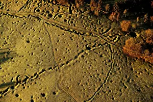 Unable: Newfoundland Memorial Park Beaumont Hamel, Somme - Trenches