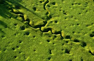 Unable: Newfoundland Memorial Park Beaumont Hamel, Somme Battlefield