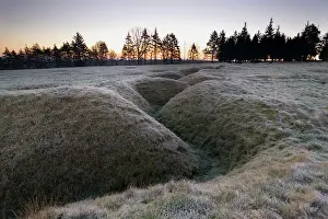 Maur: Newfoundland Park, Beaumont Hamel