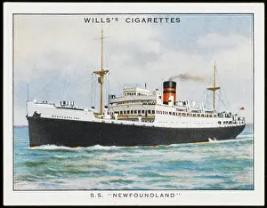 Furness: Newfoundland Steamer