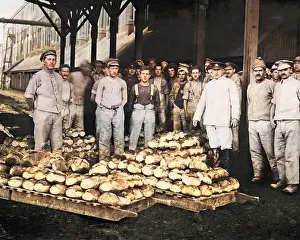 Loaves: Newly baked bread for the Western Front, WW1