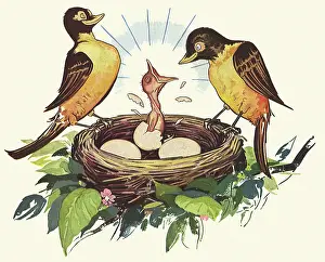 Sings: Newly Hatched Chick sings to Parents