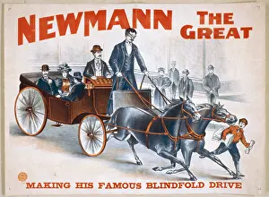Newmann: Newmann the Great