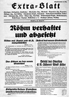 Roehm: Newspaper article about the Roehm putsch, 1934