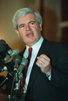 Gingrich: Newt Gingrich