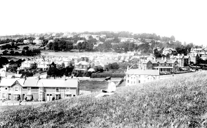 Decoy: Newton Abbot, from Decoy 1906