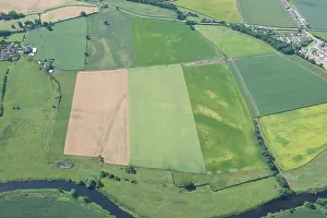Cropmark: Newton Kyme, North Yorkshire