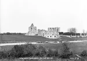 Derelict: Newtown Trim Abbey on the Boyne