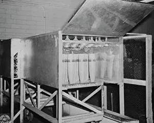 Compartment: nfrared rays dry the paint on shells in these