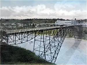 Brid: NIAGARA FALLS/STEEL BRID