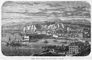 Puffing: NICE, THE HARBOUR