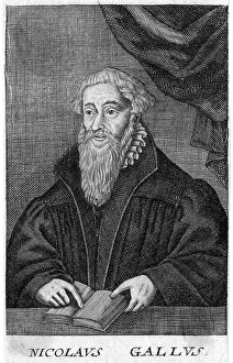 Nicolaus: NICOLAUS GALLUS