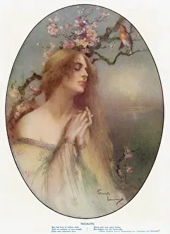 Haviland: Nicolete by Frank Haviland