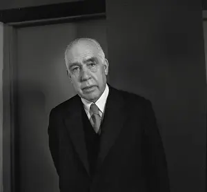 Understanding: Niels Bohr - Danish theoretical physicist