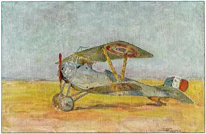 Bebe: NIEUPORT BEBE