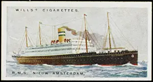 Nieuw: Nieuw Amsterdam