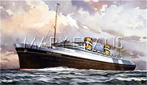 Nieuw: NIEUW AMSTERDAM LINER