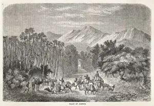 C1855: NIGER/AOUDERAS C1855