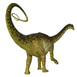 Titanosaur: Nigersaurus dinosaur, rear view