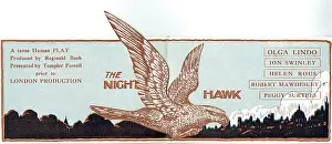 Skylines: The Night Hawk by Roland Oliver