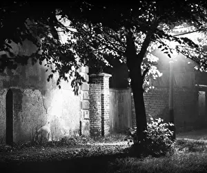 Lamplight: Night scene lit by lamplight