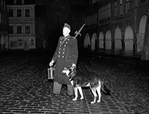 Bellman: Night watch