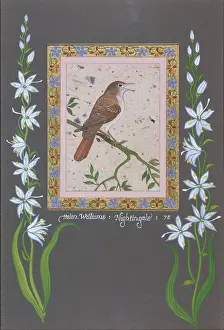 The Nightingale