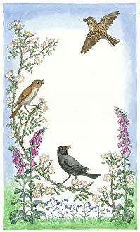 Harebells: Nightingale and black bird on rose branch