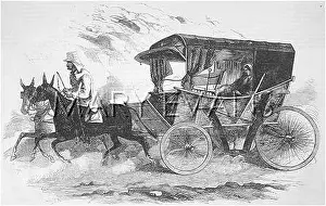 Nightingales: NIGHTINGALE'S CARRIAGE