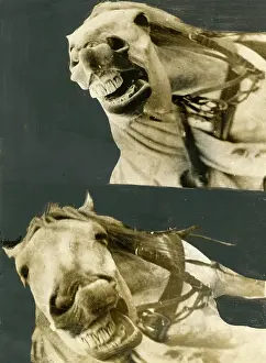 Nightmares: A NIGHTMARE