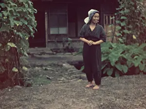 Anne Burton: Nikko gardener - Japan