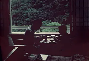 Anne Burton: Nikko - Japan