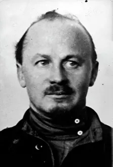 Bukharin: Nikolai Bukharin