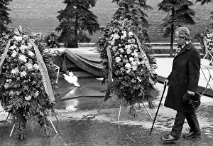 Lizunov: Nikolai Sitnikov, 1981