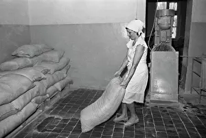 Employee: Nikolskoe bakery